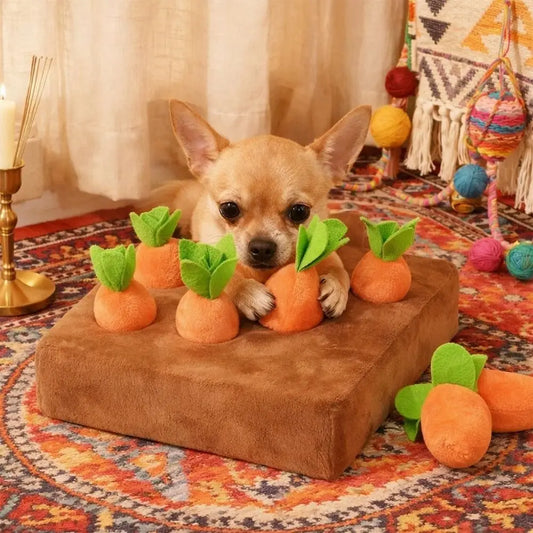 Stress Relief Carrot Snuffle Mat Removable - MyPetDollar.com