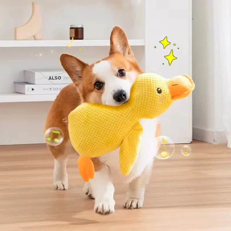 Yellow Duck Plush Toy, Dog Sleeping - MyPetDollar.com