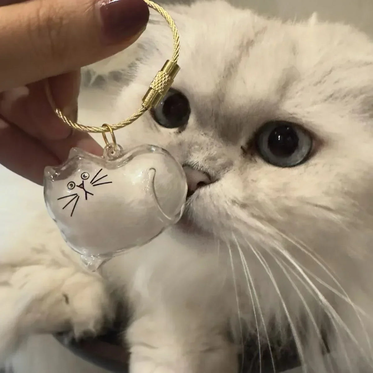 Cute Transparent Cat Fur Display Capsule Toy - MyPetDollar.com