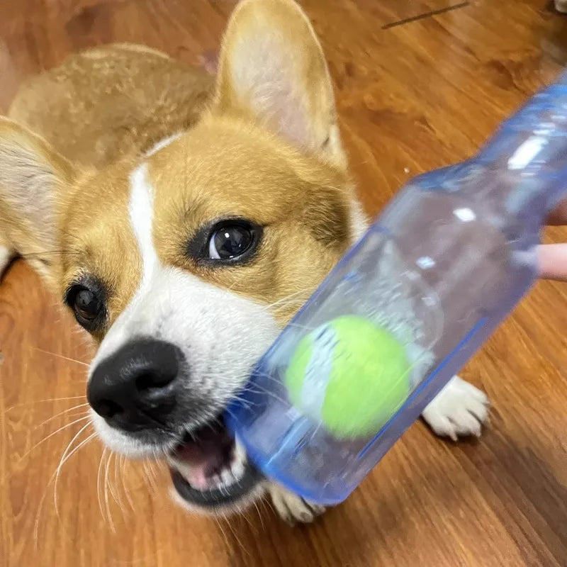Dog Chew Toy TPR Bite-resistance Beer Bottle - MyPetDollar.com