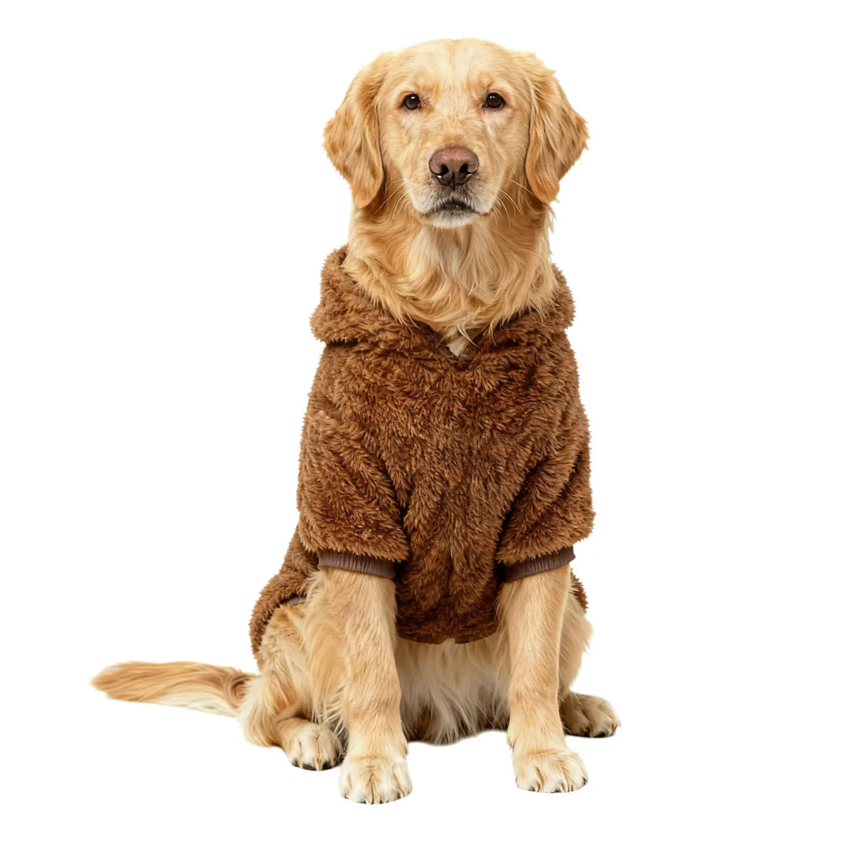 Labrador Golden Retriever Clothing Winter - MyPetDollar.com