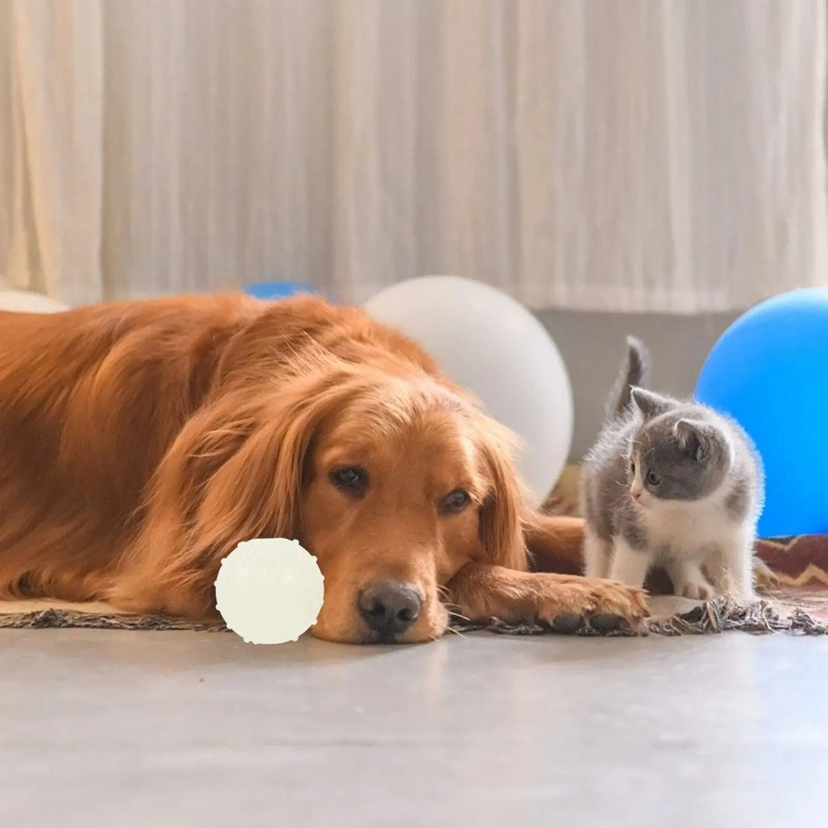 2PCS Dog Chew Toys Ball - Glow in The Dark, - MyPetDollar.com