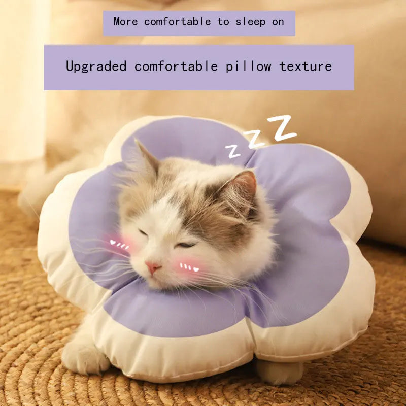 Pet Elizabeth Collar for Cats & Dogs Soft - MyPetDollar.com