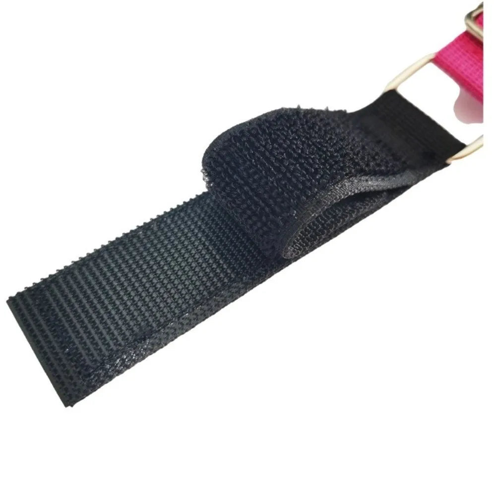 Basic Design Dog Grooming Leashes Elastic - MyPetDollar.com