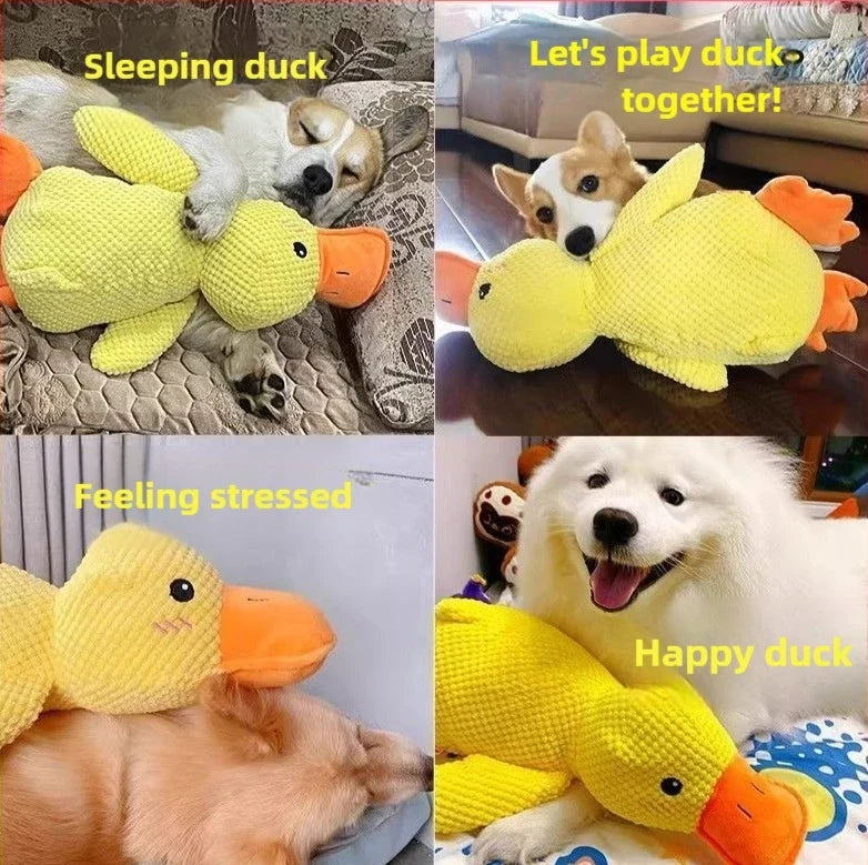 Calming Duck Toy for Dog,Soothing Plush Pet - MyPetDollar.com