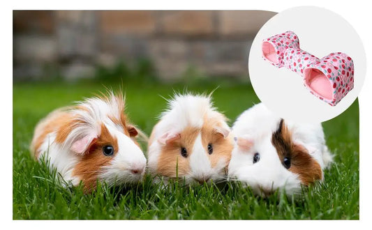 Guinea Pig Tunnels Tube Hideaway Soft Play - MyPetDollar.com