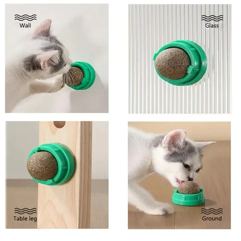 Catnip Cat Wall Sticky Ball Toy Natural Cat - MyPetDollar.com