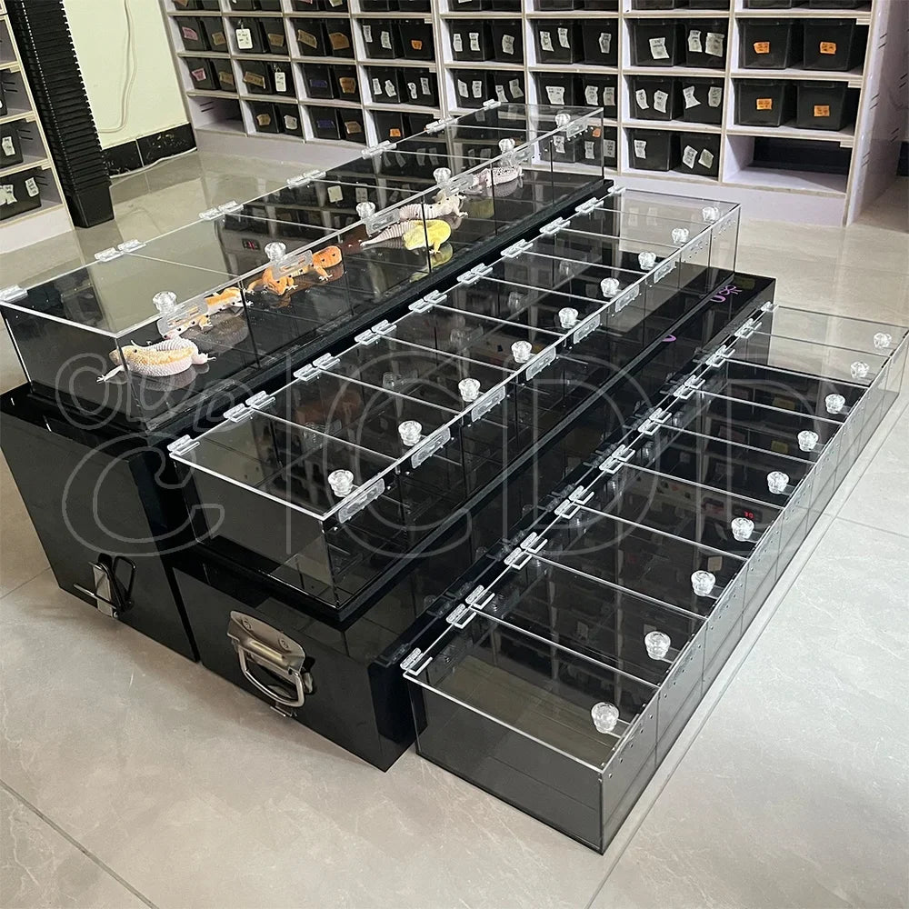 3-Layer Acrylic Transparent Luxury Black - MyPetDollar.com