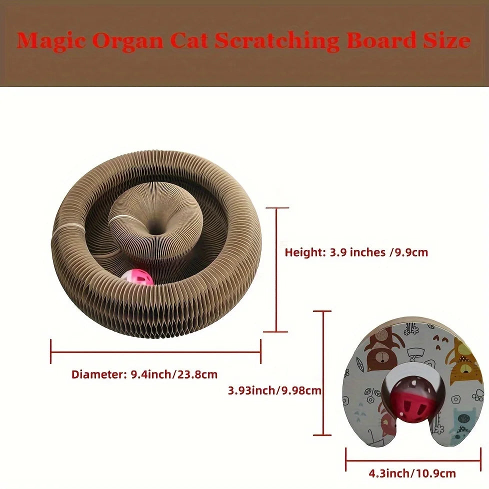 Ultimate Indoor Interactive Mental and Physical Exercise Cat