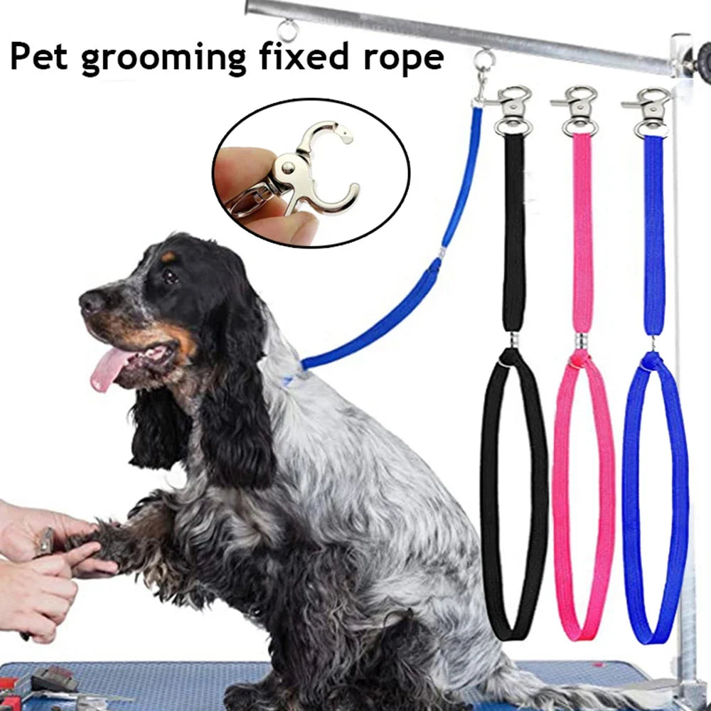 Pet Cat Noose Loop Lock Clip Rope For - MyPetDollar.com