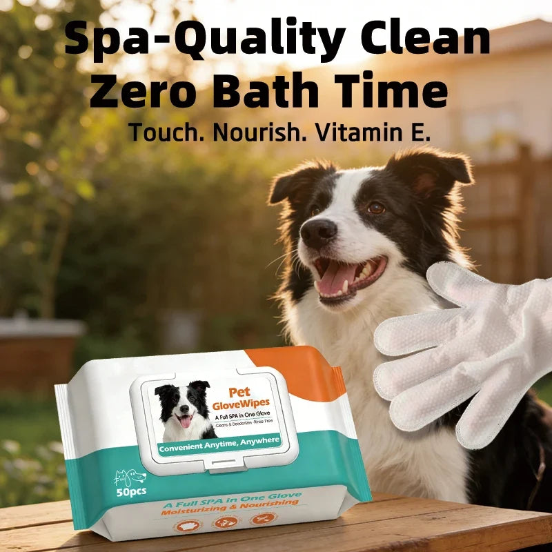 50 Pcs/bag Pet Wash Free Gloves for Cats - MyPetDollar.com