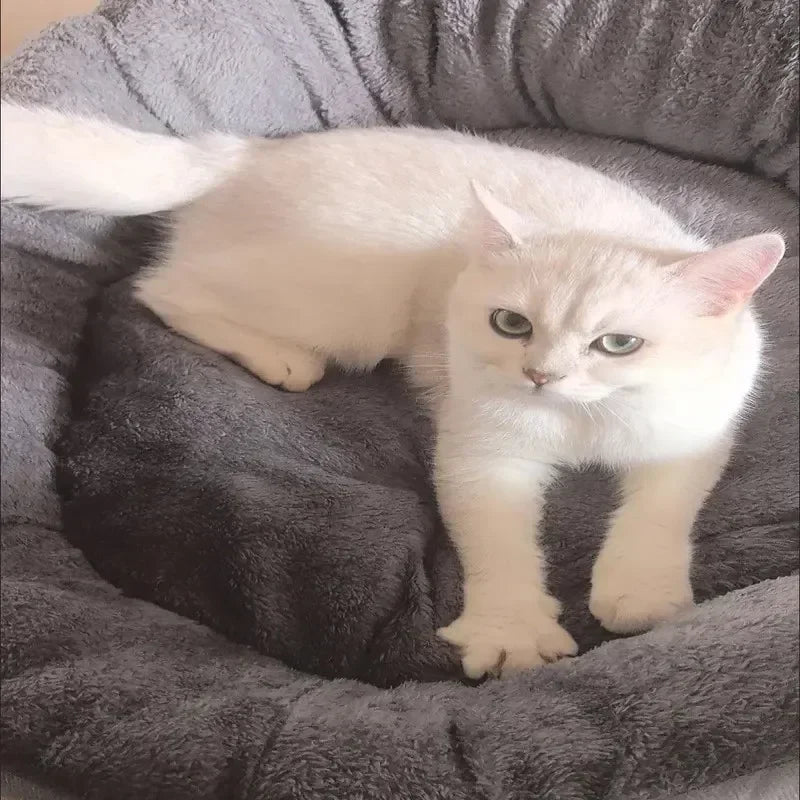 Very Soft Warm Dog Bed Pets Basket Cat House - MyPetDollar.com