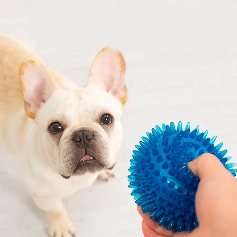 High Elasticity French Bulldog Pet Play Ball - MyPetDollar.com