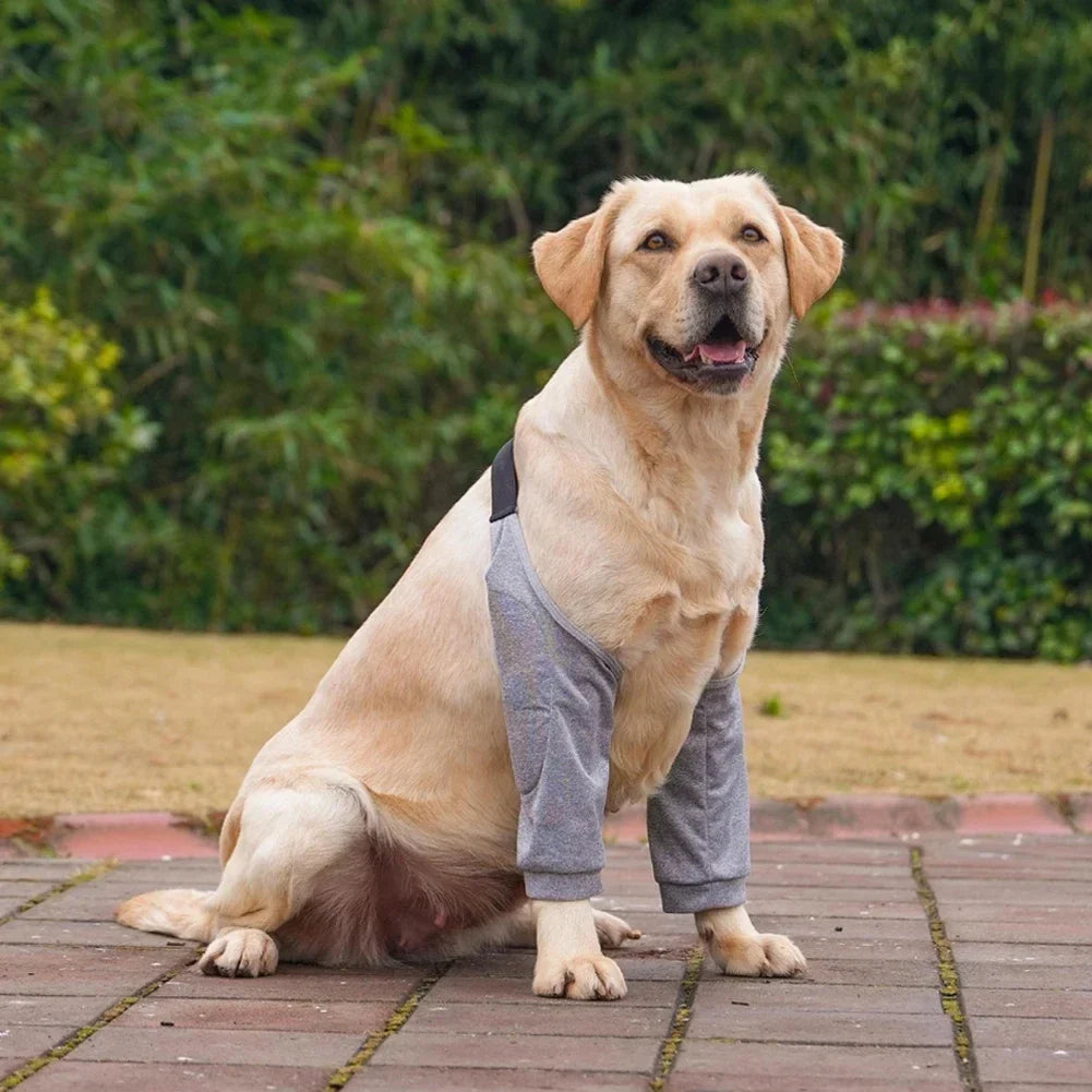 Dog Puppy Elbow Brace Protector Pet Soft - MyPetDollar.com