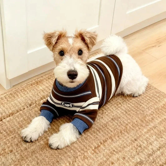Warm Striped Hoodie Pet Clothes for Cats And - MyPetDollar.com