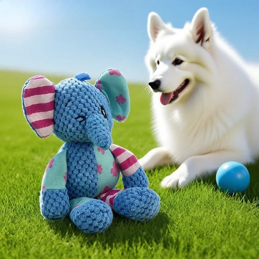 1pcsPet Plush Toy Dog Interactive Teeth - MyPetDollar.com