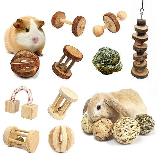 Guinea Pig Rabbit Hamster Small Animal Play - MyPetDollar.com