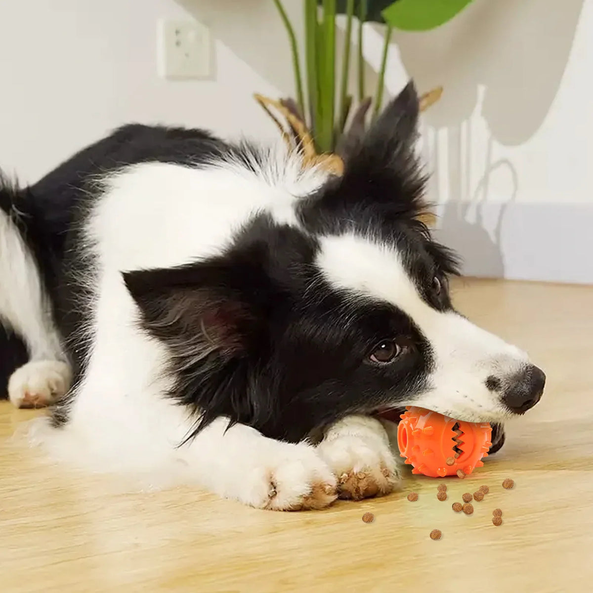 Dog Interactive Chew Treat Dispensing Ball - - MyPetDollar.com