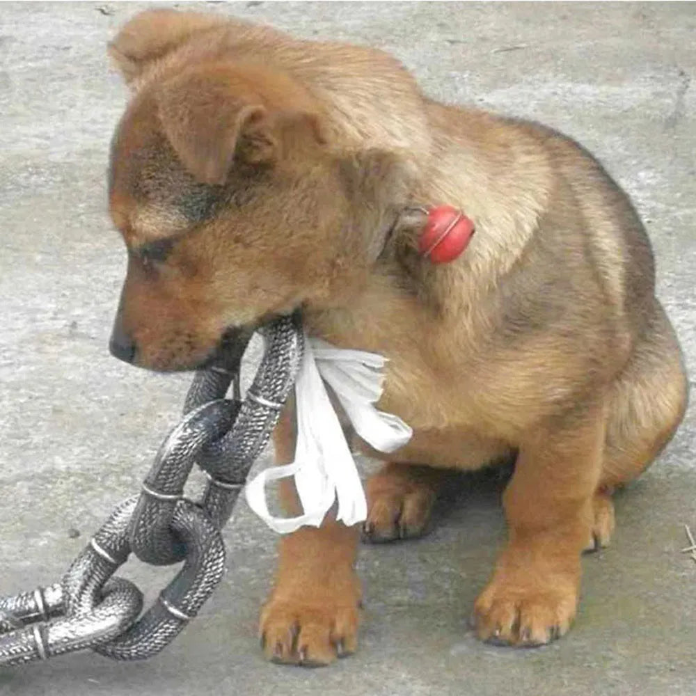 Sensationally Funny Pet Lead Puppy Cat Leash - MyPetDollar.com