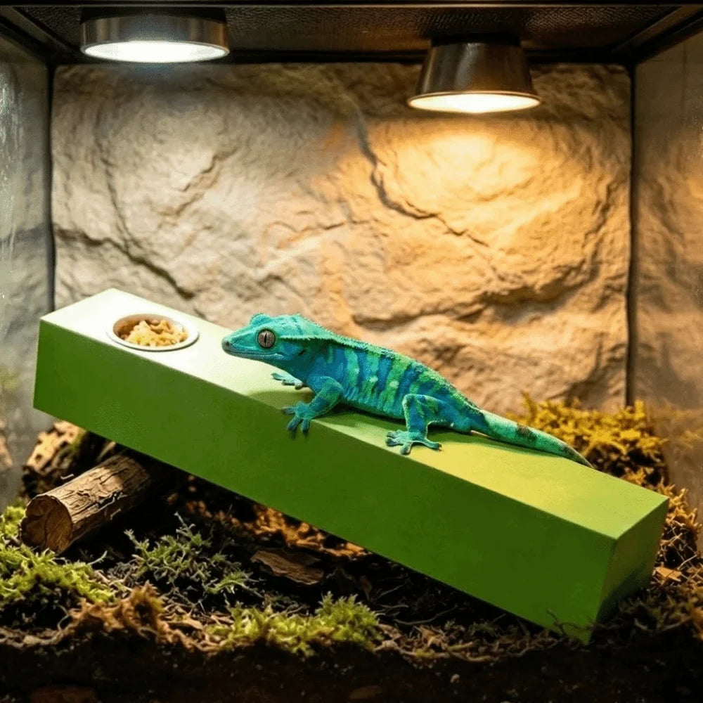 Anti Slip Lizard Feeding Stick EVA Wear - MyPetDollar.com