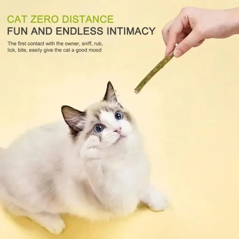 6pcs Natural Matatabi Cat Stick Mint Caught - MyPetDollar.com
