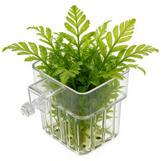 Aquarium Plant Holder Transparent Aquarium - MyPetDollar.com
