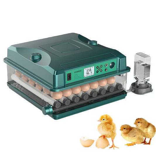 36 Eggs Fully Automatic Egg Incubator, 5 - MyPetDollar.com