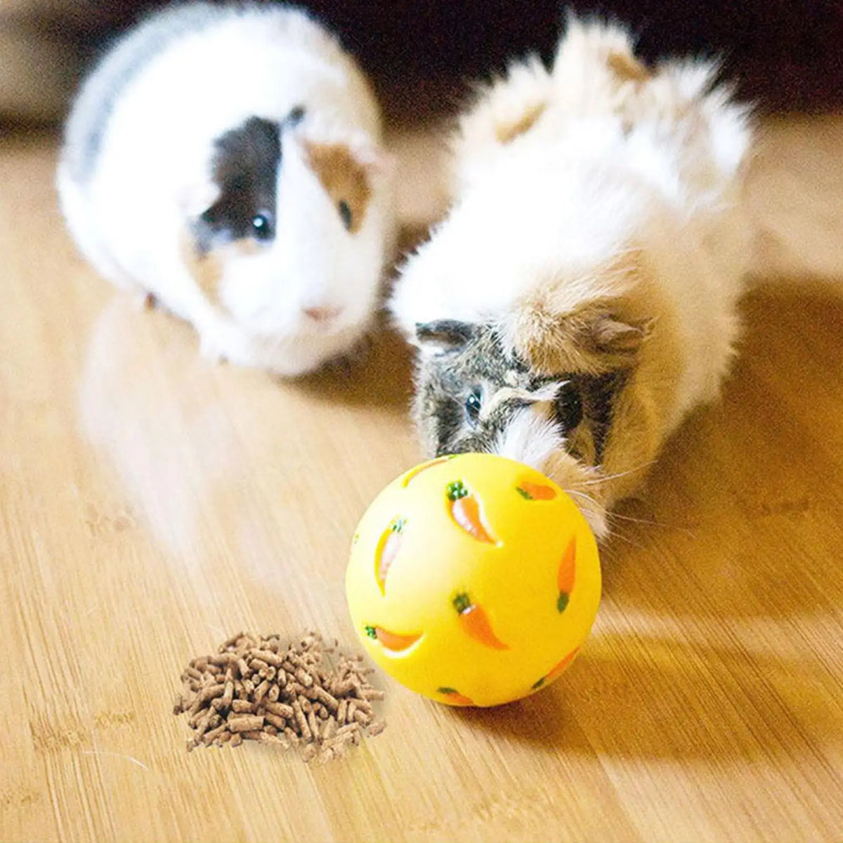 Rabbit Treat Ball Pet Slow Feeder - MyPetDollar.com