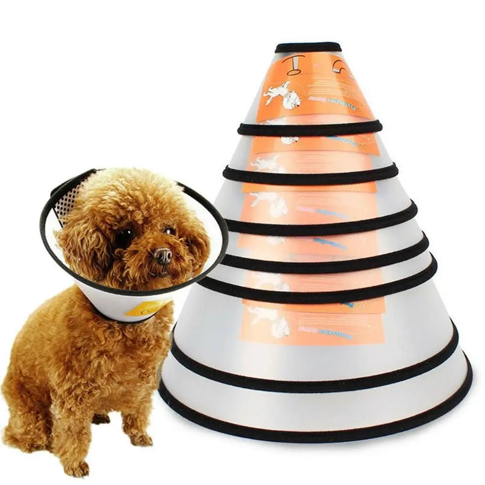 Medical Cats Dogs Health Surgery Wound - MyPetDollar.com