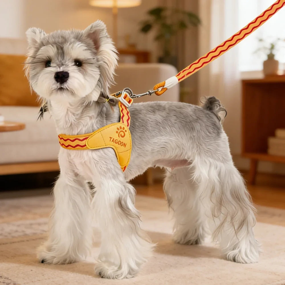 Spring Summer Cat Puppy Harness Wear Simple - MyPetDollar.com