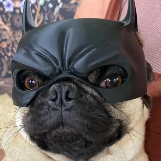 Dog Bat Cool Man Mask Dog Avenger Mask Cute - MyPetDollar.com