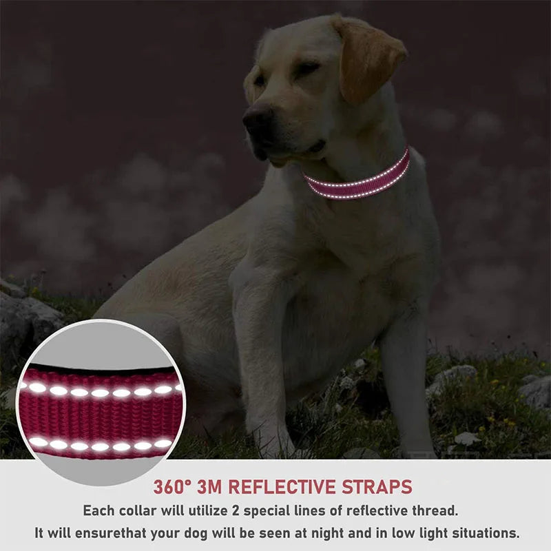 1PC Reflective Dog Collar with Buckle - MyPetDollar.com