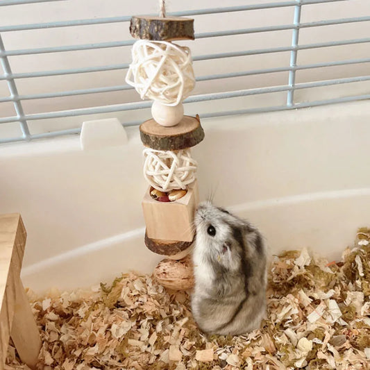 Hamster Toy Hamster Golden Bear Foraging - MyPetDollar.com