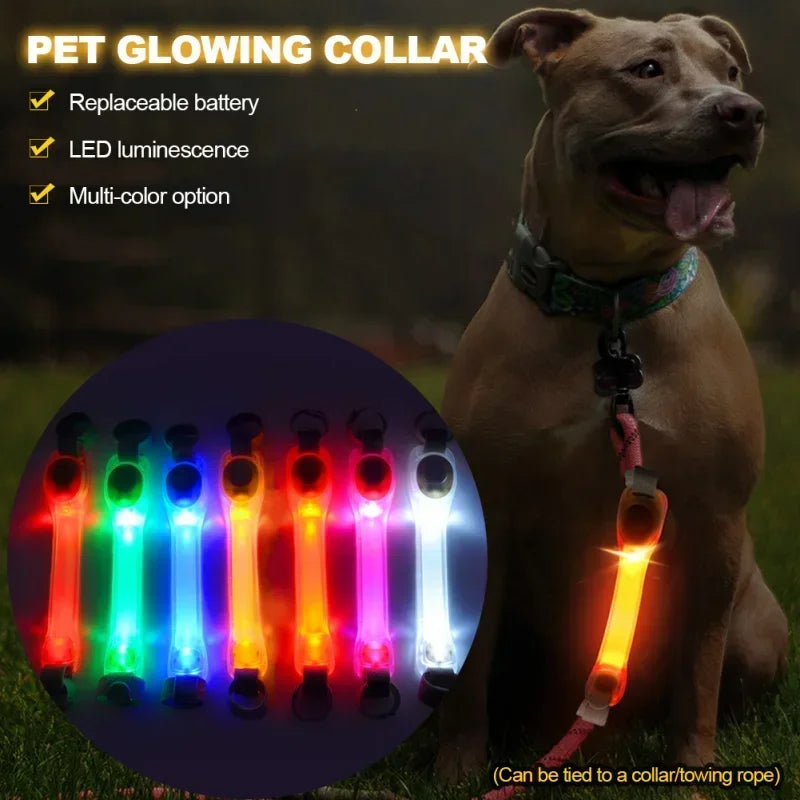 Outdoor-Ready LED Light Strip Night - MyPetDollar.com