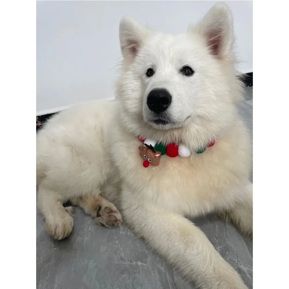 12pcs Christmas Pet Dog Bow Tie Hair Ball - MyPetDollar.com