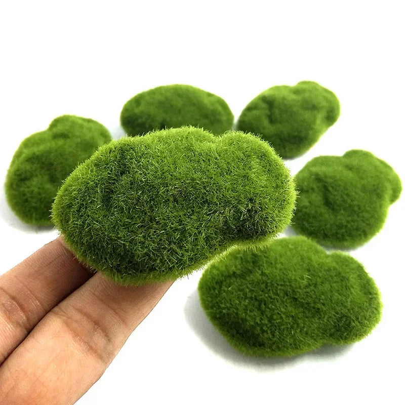 Live Aquarium Plant Algae Fish Shrimp Tank - MyPetDollar.com