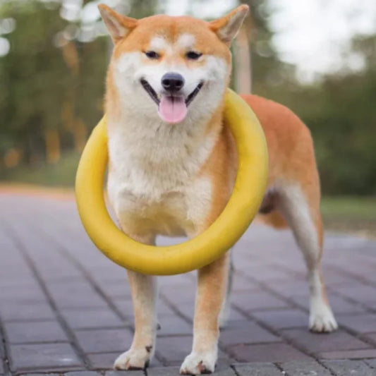 Dog Ring Toys Indestructible Chewing Flying - MyPetDollar.com