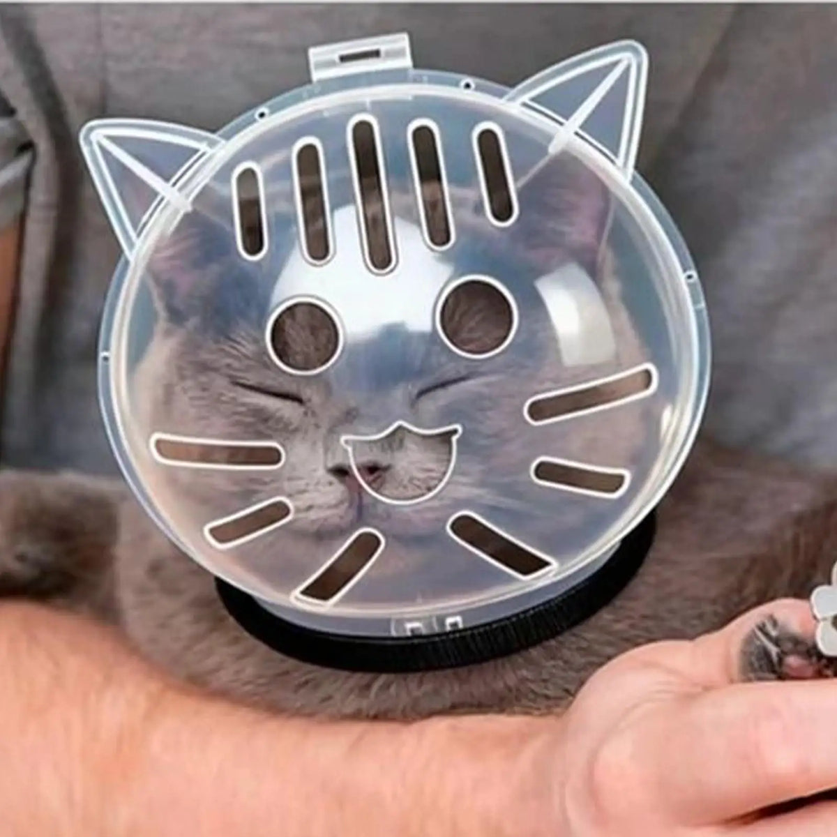 Transparent Cat Hood Breathable cat head - MyPetDollar.com