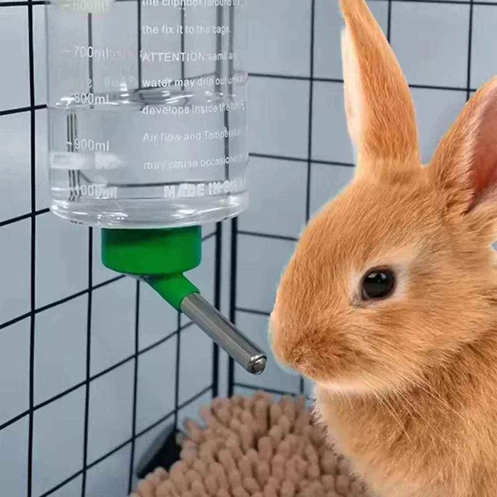 1000ml Random Color Small Animals Drinker - MyPetDollar.com