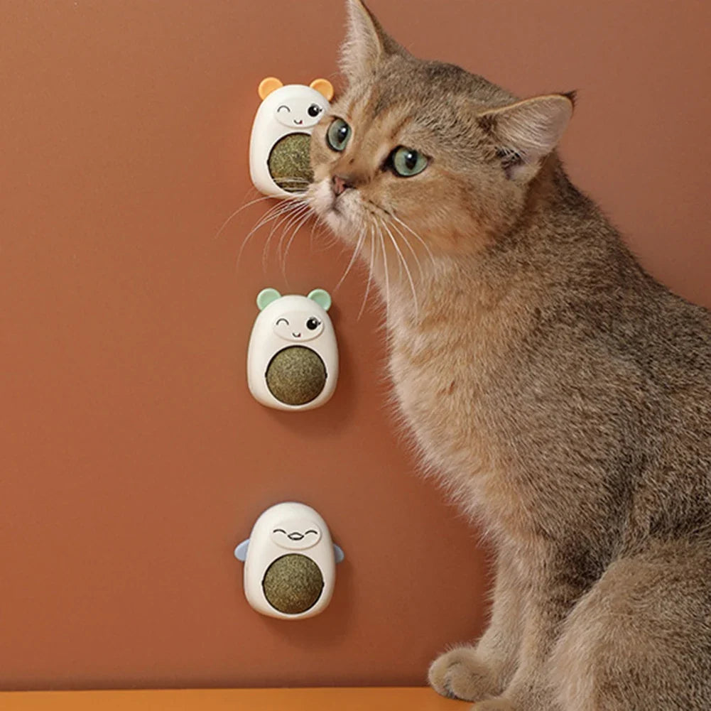 Plastic Catnip Ball Natural Safe Cats Catnip - MyPetDollar.com