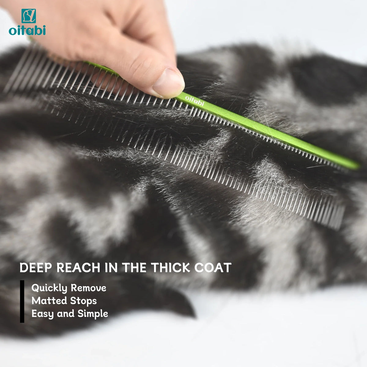Oitabi Professional Pet Grooming Comb for - MyPetDollar.com