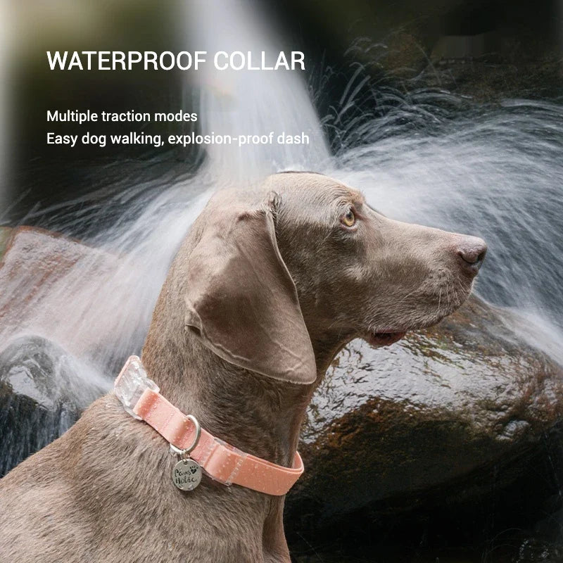 Waterproof Series Dog Collar Leash Harness - MyPetDollar.com