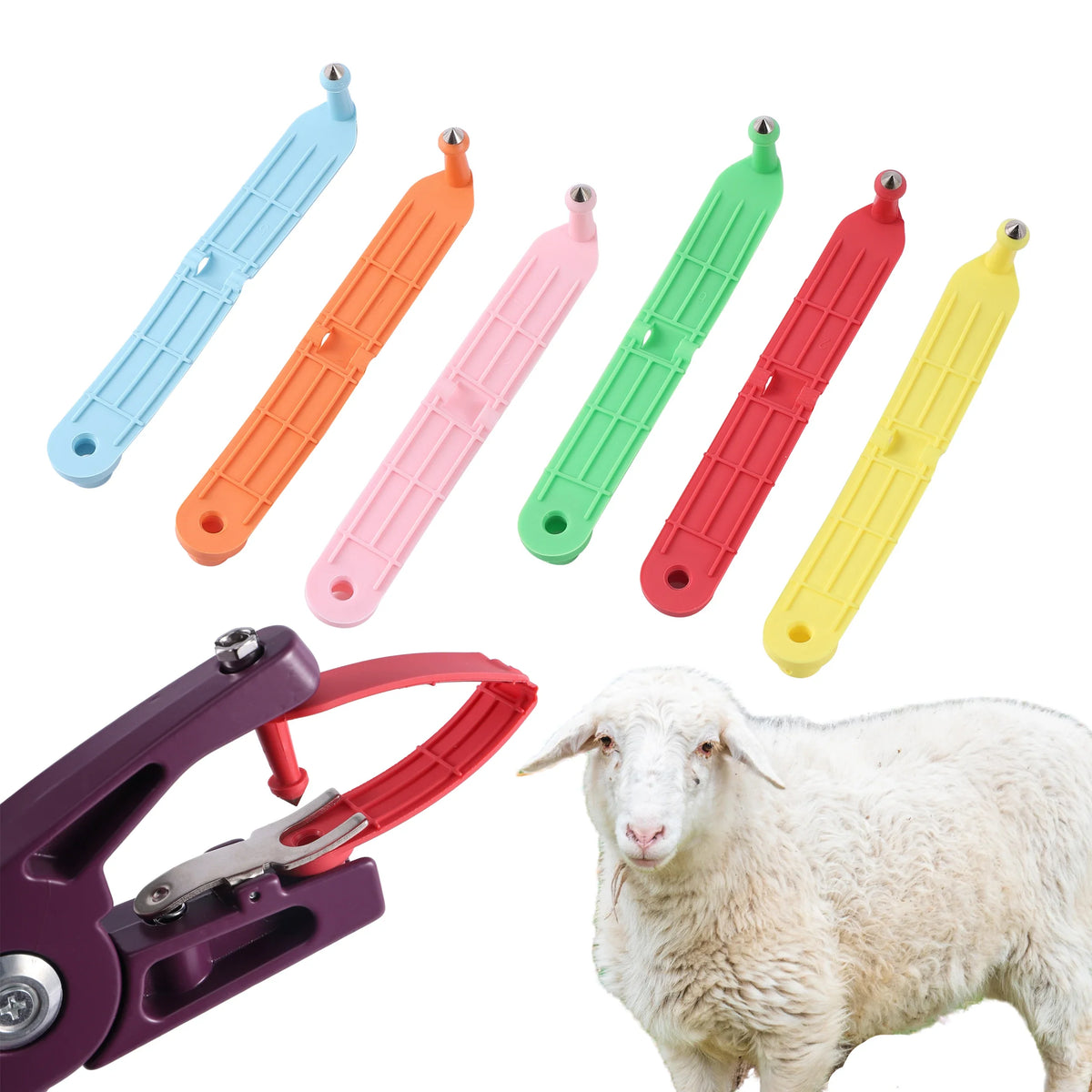 Sheep Ear Tag Without Character One-piece - MyPetDollar.com