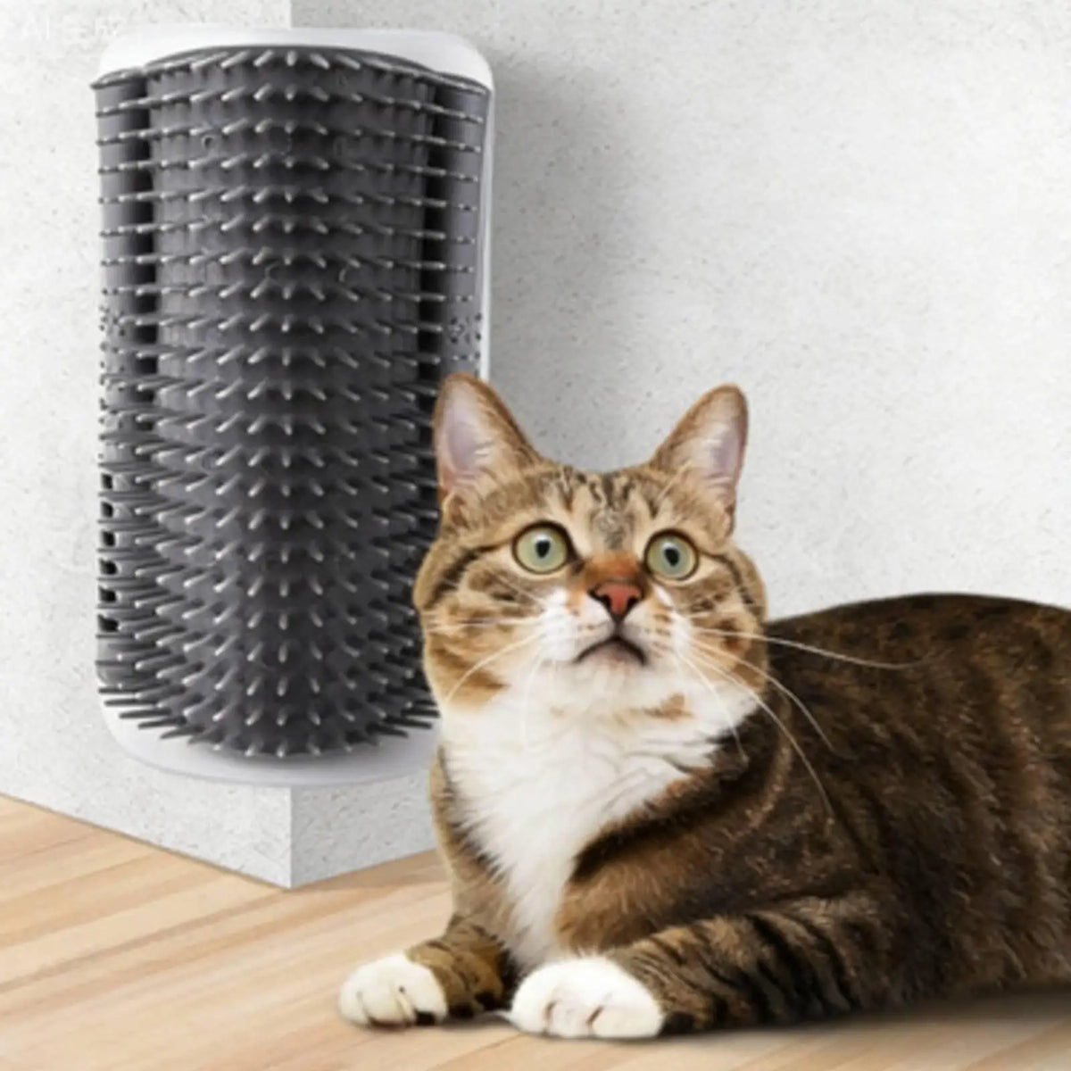 Cat Grooming Brush for Cats Corner Scratcher - MyPetDollar.com