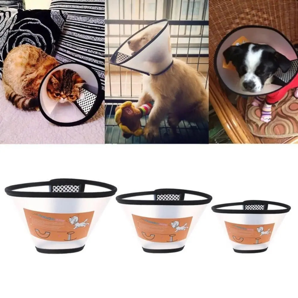 Medical Cats Dogs Health Surgery Wound - MyPetDollar.com