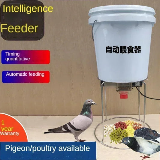 Automatic Chicken Feeder Pigeon Chicken Duck - MyPetDollar.com