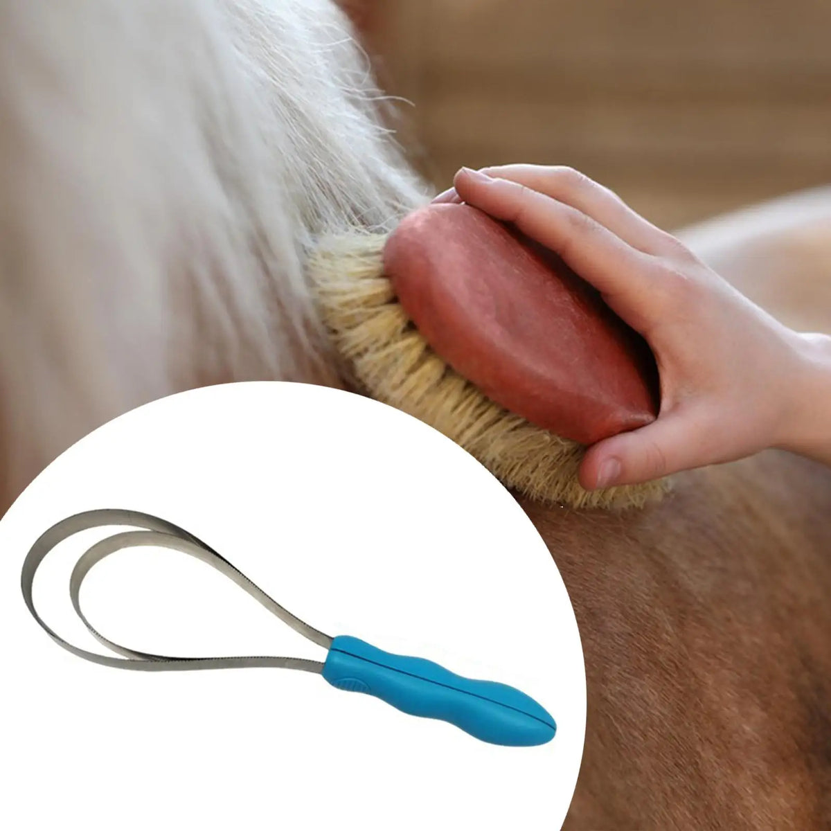 Pet Shedding Blade Tool Portable Accessories Grooming Comb – 2 Colors