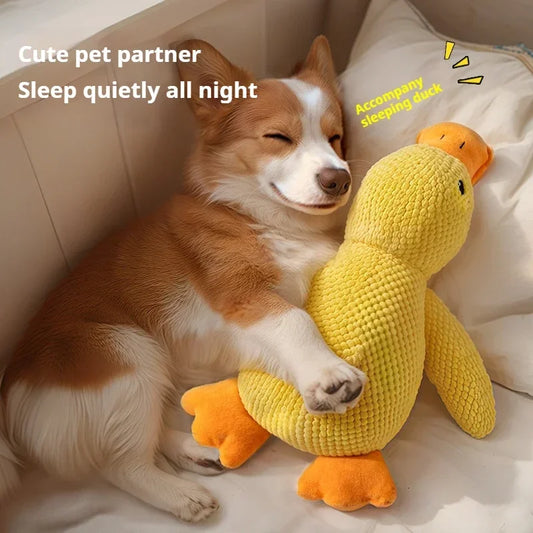 Dog toy plush companion sleeping duck bite - MyPetDollar.com