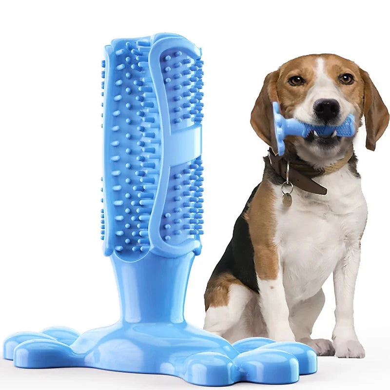 Dog Cactus Interactive Rubber Bite Resistant Chew Toys – Multiple Sizes & Colors
