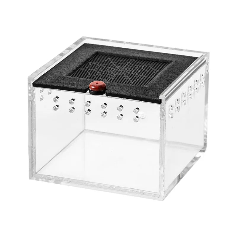 Acrylic Reptile Crawling Pet Feeding Lizard Spider Box – 4 Colors